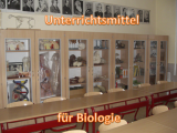 Ansichten unserer Schule